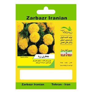 بذر گل جعفری زرد زربذر ایرانیان کد zbp 77
