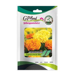 بذر گل جعفری پاکوتاه گلدرشت الوان گلبرگ پامچال کد gpf 037