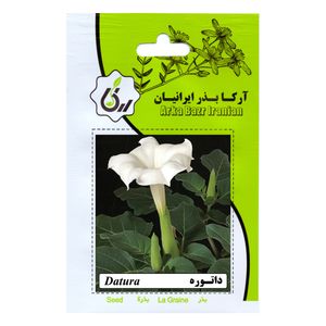 بذر گل داتوره آرکا بذر ایرانیان کد 94 ark