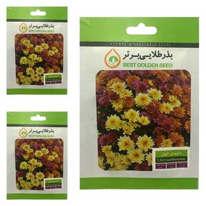 بذر گل داوودی الوان بذر طلایی برتر کد btb 16 مجموعه 3 عددی