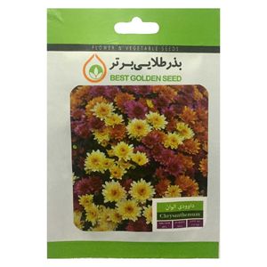 بذر گل داوودی الوان بذر طلایی برتر کد bzt 16