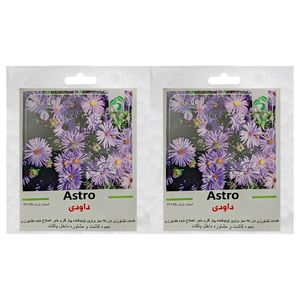 بذر گل داوودی گرین فارم کد gr da بسته 2 عددی