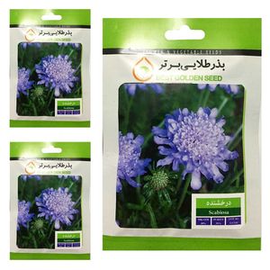 بذر گل درخشنده بذر طلایی برتر کد btb 40 مجموعه 3 عددی