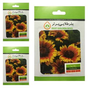 بذر گل رعنا زیبا بذر طلایی برتر کد btb 17 مجموعه 3 عددی