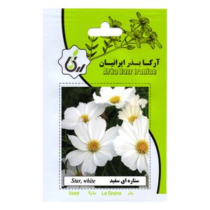 بذر گل ستاره ای سفید آرکا بذر ایرانیان کد 173 ark