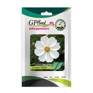 بذر گل ستاره ای سفید گلبرگ پامچال کد gpf 249