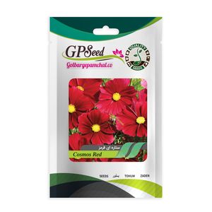 بذر گل ستاره ای قرمز گلبرگ پامچال کد gpf 251