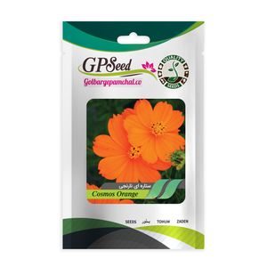 بذر گل ستاره ای نارنجی گلبرگ پامچال کد gpf 252