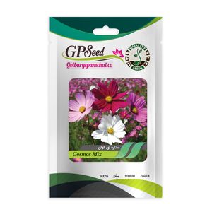 بذر گل ستاره ای پابلند پرگل الوان گلبرگ پامچال کد gpf 054