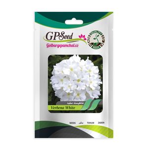 بذر گل شاهپسند سفید گلبرگ پامچال کد gpf 254