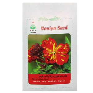 بذر گل شب بو خیری پا کوتاه قرمز آذر سبزینه مدل a134