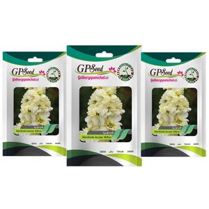 بذر گل شب بو زرد گلدانی گلبرگ پامچال کد gpf 296 مجموعه 3 عددی