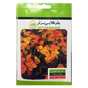 بذر گل شب بو زعفرانی بذر طلایی برتر کد bzt 22