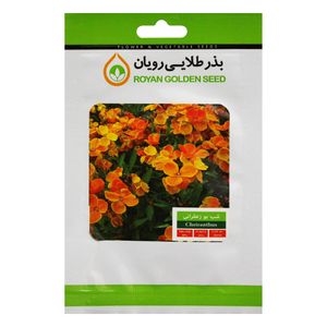 بذر گل شب بو زعفرانی بذر طلایی رویان کد bztr 022