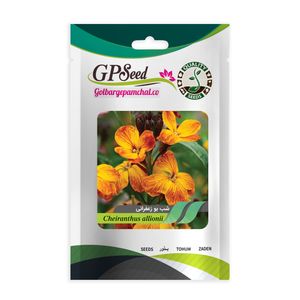 بذر گل شب بو زعفرانی گلبرگ پامچال کد gpf 059
