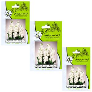 بذر گل شب بو سفید آرکا بذر ایرانیان کد 210  ark مجموعه 3 عددی