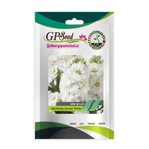بذر گل شب بو سفید گلبرگ پامچال کد gpf 258