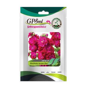 بذر گل شب بو قرمز گلبرگ پامچال کد gpf 259