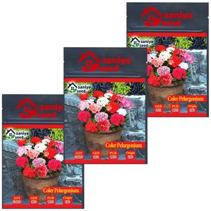 بذر گل شمعدانی الوان سانیا سید مدل s2 مجموعه 3 عددی