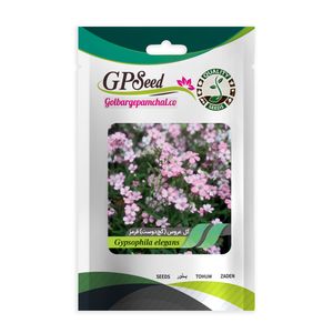 بذر گل عروس گچ دوست قرمز گلبرگ پامچال کد gpf 345