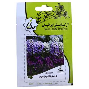 بذر گل عسل آلیسم الوان آرکا بذر ایرانیان کد ark 080