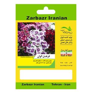 بذر گل قرنفل الوان زربذر ایرانیان کد zbp 95