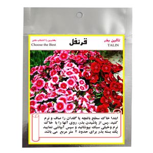 بذر گل قرنفل تالین بذر مدل bzt 1022