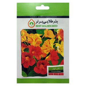 بذر گل لادن الوان بذر طلایی برتر کد bzt 30