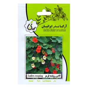 بذر گل لادن رونده قرمز آرکا بذر ایرانیان کد 82 ark