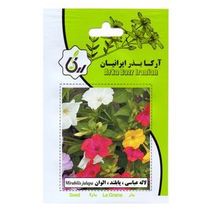بذر گل لاله عباسی پابلند الوان آرکا بذر ایرانیان کد 172 ark