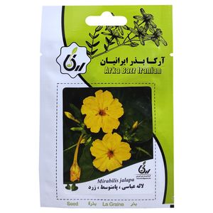 بذر گل لاله عباسی پامتوسط زرد آرکا بذر ایرانیان کد ark 077