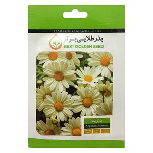 بذر گل مارگریت بذر طلایی برتر کد bzt 32