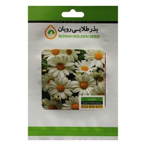 بذر گل مارگریت بذر طلایی رویان کد bztr 032