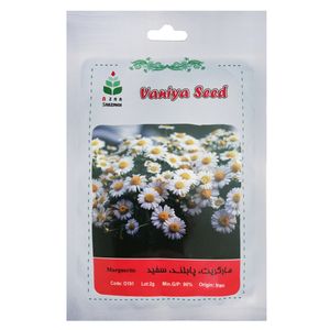 بذر گل مارگریت پابلند سفید آذر سبزینه مدل o191