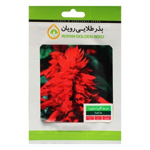 بذر گل مریم گلی بذر طلایی رویان کد bztr 018
