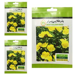بذر گل مغربی  بذر طلایی برتر کد btb 35 مجموعه 3 عددی