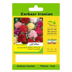 بذر گل میخک الوان زربذر ایرانیان کد zbp 107