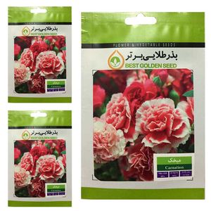 بذر گل میخک بذر طلایی برتر کد btb 39 مجموعه 3 عددی