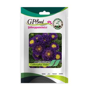 بذر گل مینا تابستانه بنفش گلبرگ پامچال کد gpf 269