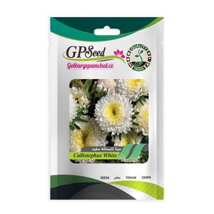 بذر گل مینا تابستانه سفید جی پی سید مدل gp3455