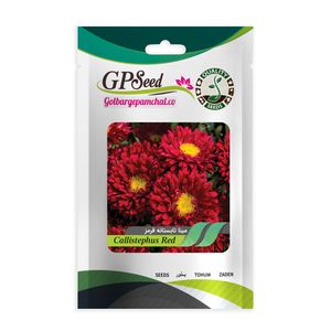 بذر گل مینا تابستانه قرمز گلبرگ پامچال کد gpf 271
