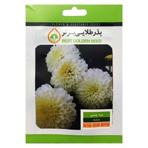 بذر گل مینا چمنی بذر طلایی برتر کد bzt 34