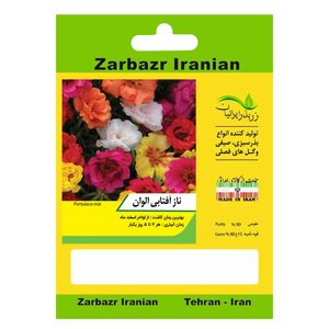 بذر گل ناز آفتابی الوان زربذر ایرانیان کد zbp 111