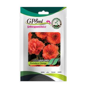 بذر گل ناز آفتابی نارنجی گلبرگ پامچال کد gpf 090