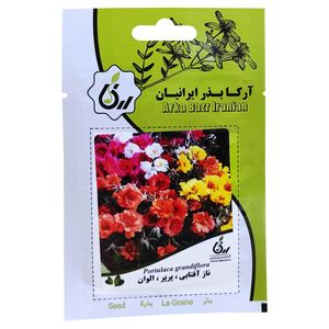 بذر گل ناز آفتابی پرپر الوان آرکا بذر ایرانیان کد ark 069