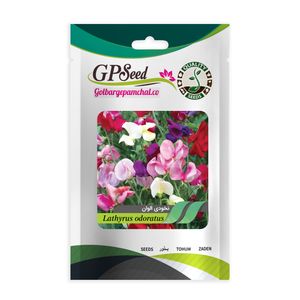 بذر گل نخودی الوان گلبرگ پامچال کد gpf 092