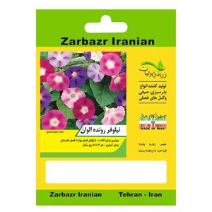 بذر گل نیلوفر رونده الوان زربذر ایرانیان کد zbp 116