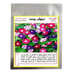 بذر گل نیلوفر رونده تالین کد bzt_015