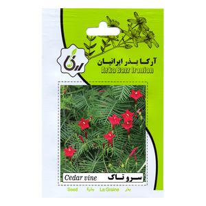 بذر گل نیلوفر رونده سرو تاک آرکا بذر ایرانیان کد 209 ark