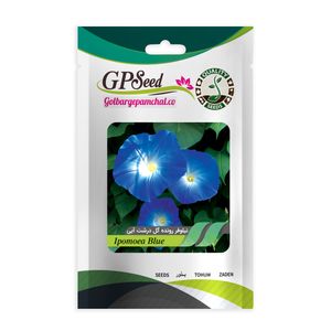 بذر گل نیلوفر گل درشت آبی گلبرگ پامچال کد gpf 275